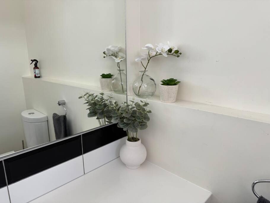 4 Large Bedroom Apartment In The City هاستينغز المظهر الخارجي الصورة
