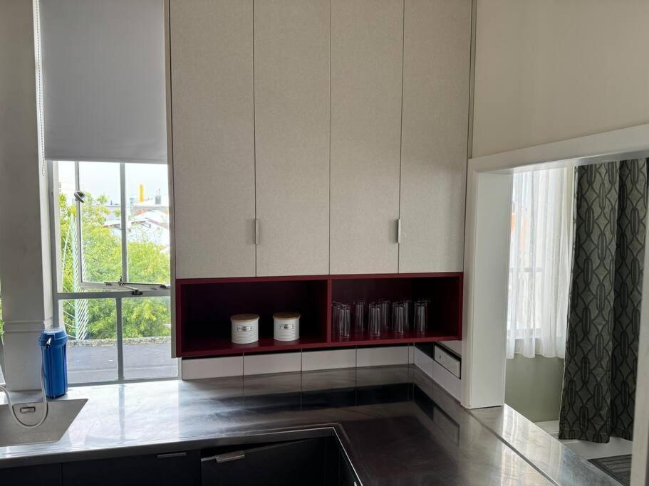 4 Large Bedroom Apartment In The City هاستينغز المظهر الخارجي الصورة